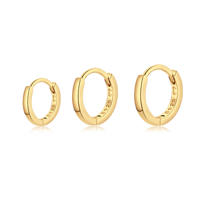 PENDIENTES VALENTINA ROCHE AROS FINOS CON CIRCONITAS