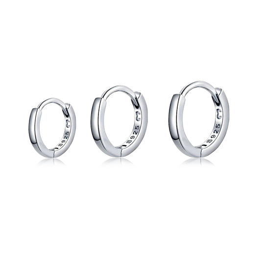 PENDIENTES VALENTINA ROCHE AROS FINOS CON CIRCONITAS